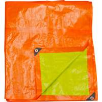 B&acirc;che tiss&eacute;e robuste haute visibilit&eacute;, Poly&eacute;thyl&egrave;ne, Vert/Orange, 16' x 20' x 12 mils Maritime Industrial Rubber