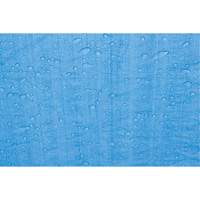 B&acirc;che, Standard, Bleu, 7' x 5' x 4 mils Maritime Industrial Rubber