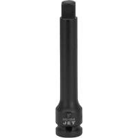 Rallonge motoris&eacute;e, Chocs, Prise 1", 6" lo Maritime Industrial Rubber