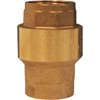 Horizontal Swing Check Valve Maritime Industrial Rubber