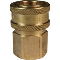 DQC E-Series Straight-Through Interchange Coupler, Brass, 3/4", Female NPTF, 1700 PSI Maritime Industrial Rubber
