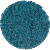 Scotch-Brite Roloc Surface Conditioning Disc, 1" Dia. Maritime Industrial Rubber
