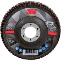 Flap Discs