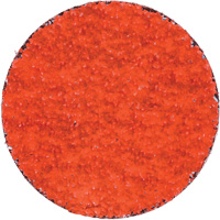 Blaze R980P Quick-Change Cloth Disc, 2" Dia., 36 Grit, Ceramic Alumina Maritime Industrial Rubber