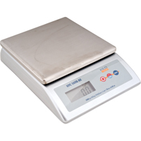 Platform Scale, 2000 g Capacity Maritime Industrial Rubber