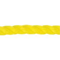 Corde jaune tress&eacute;e 1/2", Polypropyl&egrave;ne, 335' Maritime Industrial Rubber