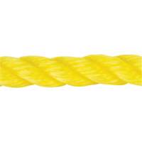 Corde jaune tress&eacute;e, Polypropyl&egrave;ne, 144' Maritime Industrial Rubber