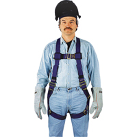 Full Body Harnesses