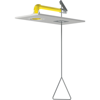Horizontal Supply Emergency Shower Stations, Ceiling-Mount Maritime Industrial Rubber