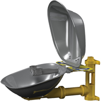 Poste de douche oculaire Halo, Installation Montage mural, Bol Acier inoxydable Maritime Industrial Rubber