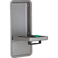 Eye/Face Wash Station, Wall-Mount Installation, Stainless Steel Bowl Maritime Industrial Rubber