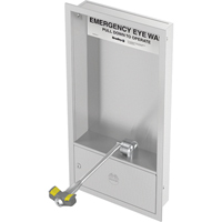 Eyewash Station, Wall-Mount Installation, Stainless Steel Bowl Maritime Industrial Rubber