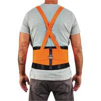 ProFlex 100HV Economy Spandex Hi-Vis Back Support Brace, Elastic, Small Maritime Industrial Rubber