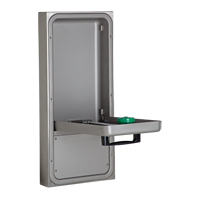 Eye/Face Wash Station, Wall-Mount Installation Maritime Industrial Rubber