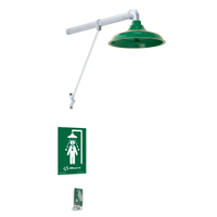 Freeze Protected Drench Shower, Wall-Mount Maritime Industrial Rubber