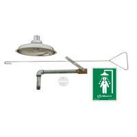Drench Shower, Ceiling-Mount Maritime Industrial Rubber