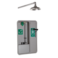 ADA Eye/Face Wash and Shower, Ceiling-Mount Maritime Industrial Rubber