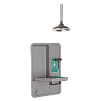 Eye/Face Wash and Shower, Ceiling-Mount Maritime Industrial Rubber