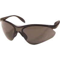 Miranda Safety Glasses, Grey Lens, Anti-Scratch, Meets/Exceeds CSA Z94.3 Maritime Industrial Rubber