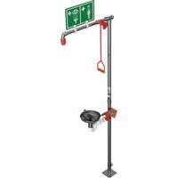 Combination Shower with Open Stainless Steel Bowl & Top Inlet, Pedestal Maritime Industrial Rubber