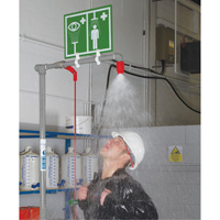 Combination Shower with Closed ABS Bowl & Top Inlet, Pedestal Maritime Industrial Rubber