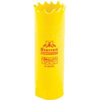 Bi-Metal Holesaw - 13/16", 13/16", 2" Depth of Cut, Bi-Metal Maritime Industrial Rubber