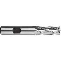 C615 End Mill, 3/4" Dia., 4 Flutes, High Speed Steel Maritime Industrial Rubber
