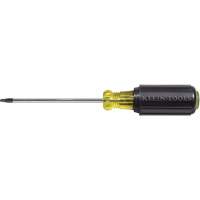 Tournevis Klein a/manche caoutchout&eacute;-Tournevis Torx &agrave; tige ronde Maritime Industrial Rubber
