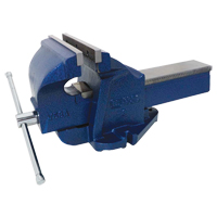 Ductile Iron Mechanics Bench Vise, 8" Jaw Width, 4" Throat Depth Maritime Industrial Rubber