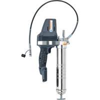 Pistolet graisseur (outil seulement), Lithium-ion, 20 V Maritime Industrial Rubber