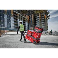 Coffre &agrave; outils roulant Packout, 15-4/5" x 34" x 28", Rouge Maritime Industrial Rubber
