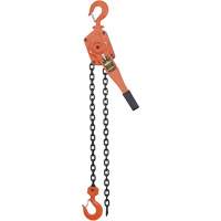 VLP Series Chain Hoists, 5' Lift, 6000 lbs. (3 tons) Capacity, Steel Chain Maritime Industrial Rubber