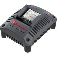 Chargeur de batterie compact IQV20, 20 V, Lithium-ion Maritime Industrial Rubber