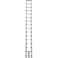 Telescopic Ladder, 3' - 15.5', Aluminum, 250 lbs. Capacity, Type 1 Maritime Industrial Rubber