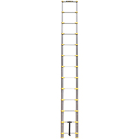 Telescopic Ladder, 3' - 12', Aluminum, 250 lbs. Capacity, Type 1 Maritime Industrial Rubber