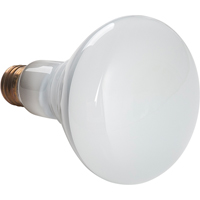 Economy Line Incandescent Lamps Maritime Industrial Rubber