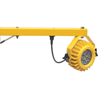 Lampes pour quais de chargement robustes, Bras 24", 300 W, Ampoule DEL, M&eacute;tal Maritime Industrial Rubber
