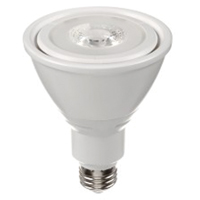 Ampoule DEL, PAR30, 10 W, 800 lumens, base Moyen Maritime Industrial Rubber