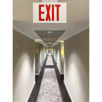 Exit Sign, LED, Battery Operated/Hardwired, 12-1/5" L x 7-1/2" W, English Maritime Industrial Rubber