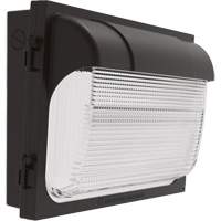 Applique murale TWX, DEL, 480 V, 9 W - 54 W, 14" ha x 18" la x 5" p Maritime Industrial Rubber