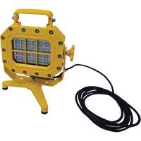 Diffuseur anti-d&eacute;flagration avec support, DEL, 40 W, 5600 lumens, Boîtier en Aluminium Maritime Industrial Rubber