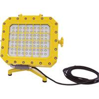 Explosion Proof Floodlight with Floor Stand, LED, 40 W, 5600 Lumens, Aluminum Housing Maritime Industrial Rubber