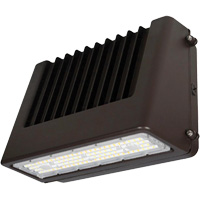 Luminaire mural, DEL, 120 V, 80 W, 6,5" ha x 9,3" la x 14,4" p Maritime Industrial Rubber